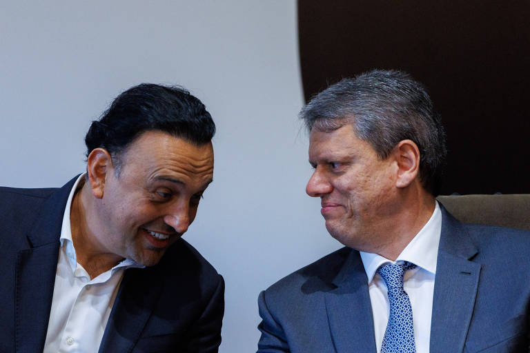 Vice de Tarcísio defende anistia de Bolsonaro e vê PSD dividido