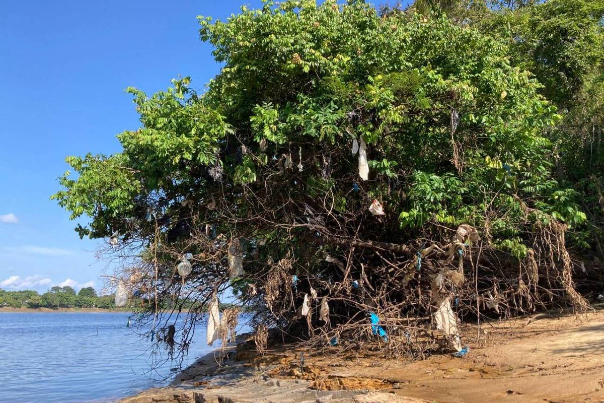Poluição plástica na amazônia é extensa, mas ainda é pouco estudada, afirma pesquisa