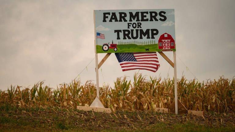 Uma placa grande com a inscrição 'FARMERS FOR TRUMP' (Agricultores por Trump) em letras grandes. A placa apresenta ilustrações de um trator e uma fazenda, além de uma bandeira dos Estados Unidos pendurada na parte inferior. Ao fundo, há um campo de milho, com plantas altas e verdes, sob um céu nublado.