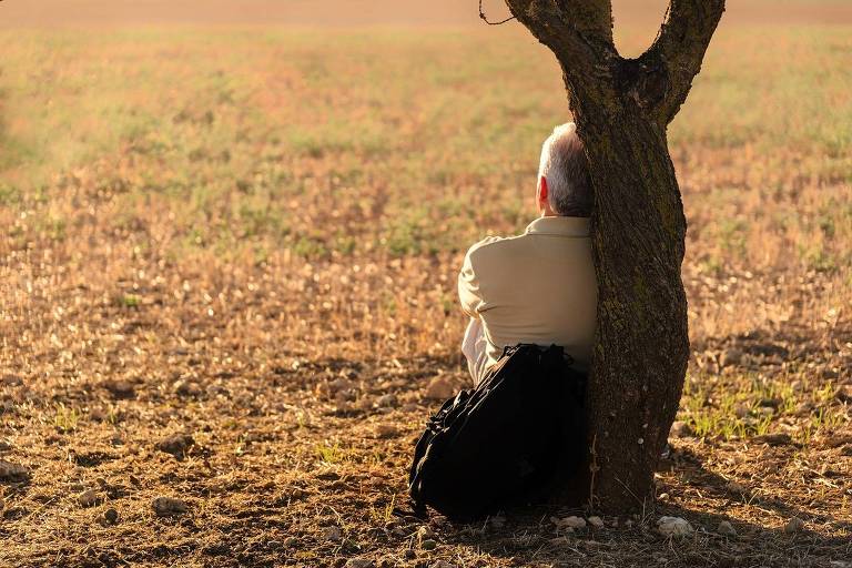 Uma pessoa idosa está sentada encostada em uma árvore em um campo aberto. O cenário é tranquilo, com um fundo de grama seca e um céu claro. A luz do sol ilumina a cena, criando uma atmosfera serena.