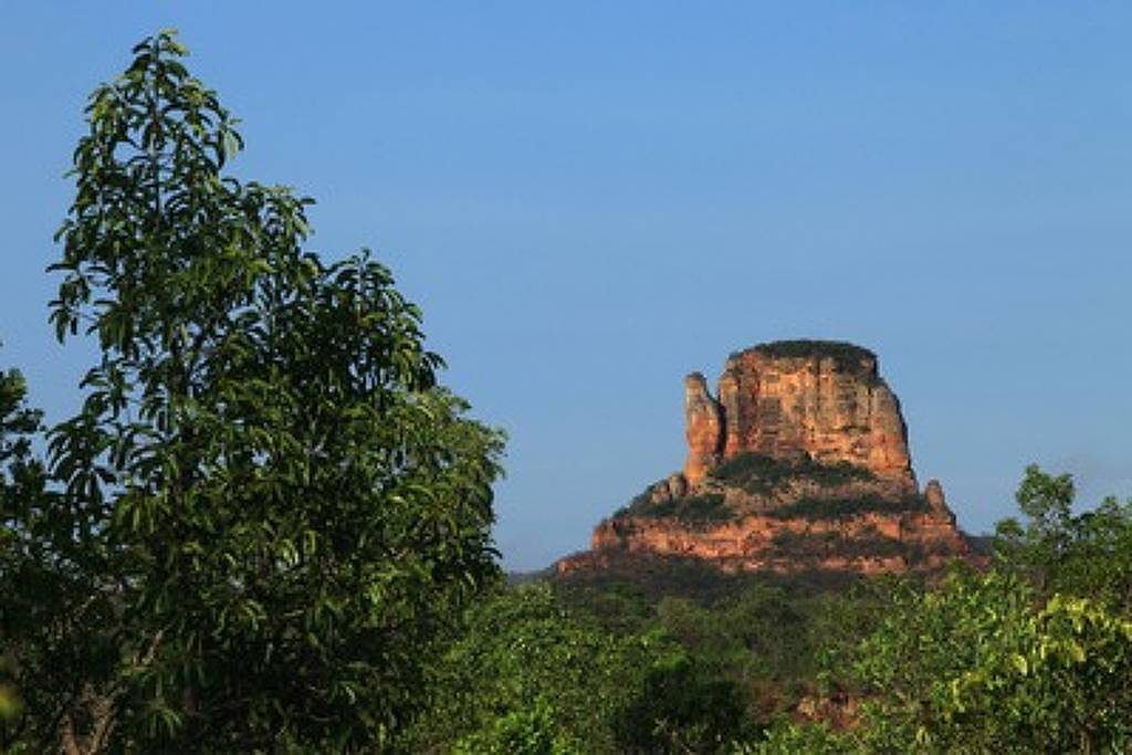 MPF aciona Justiça contra grilagem de 110 mil hectares em estação ecológica no Piauí