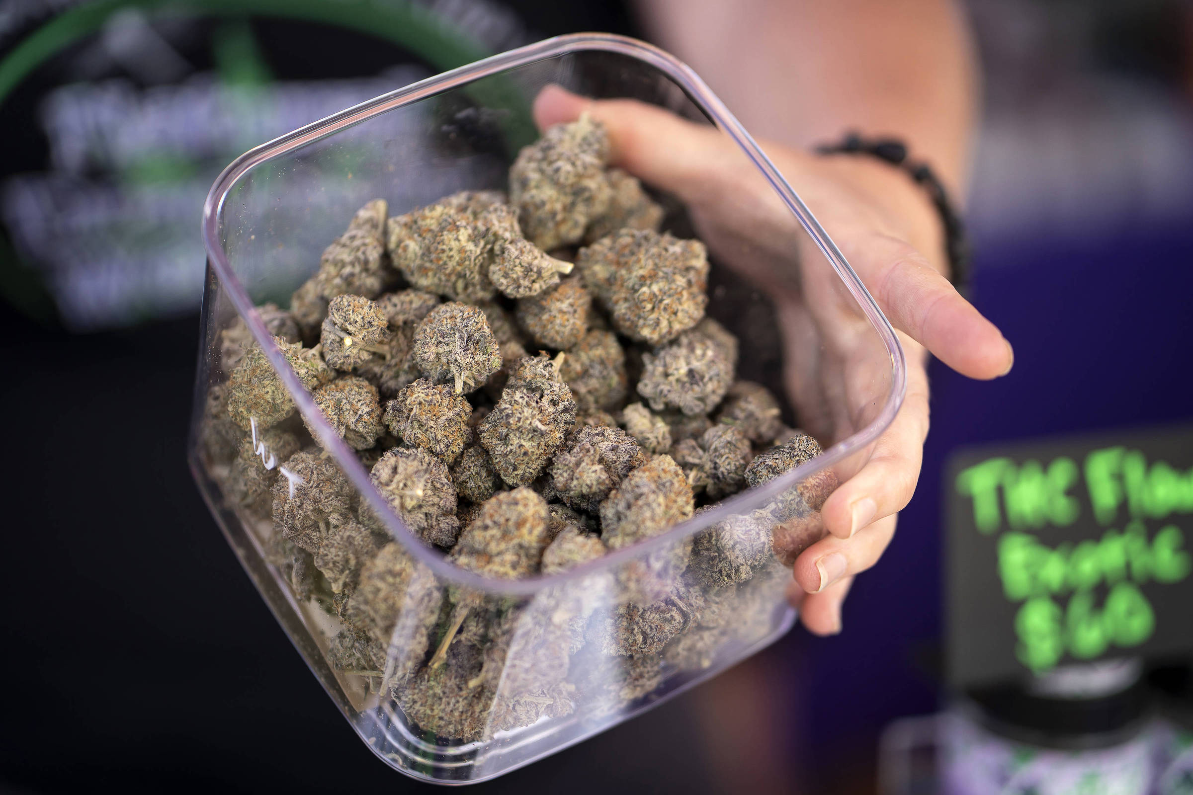 Médicos alertam contra uso de Cannabis durante gravidez e amamentação