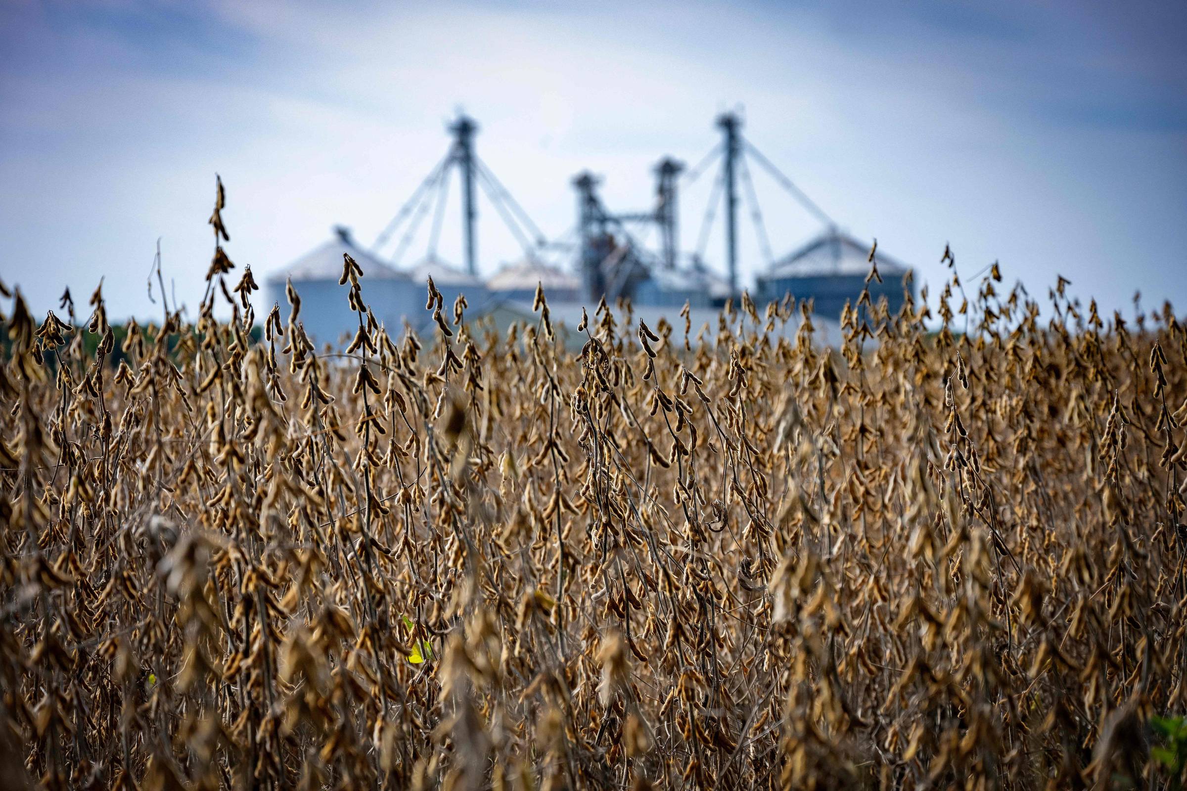 China deixa de importar soja dos EUA em setembro pela 1ª vez em sete anos