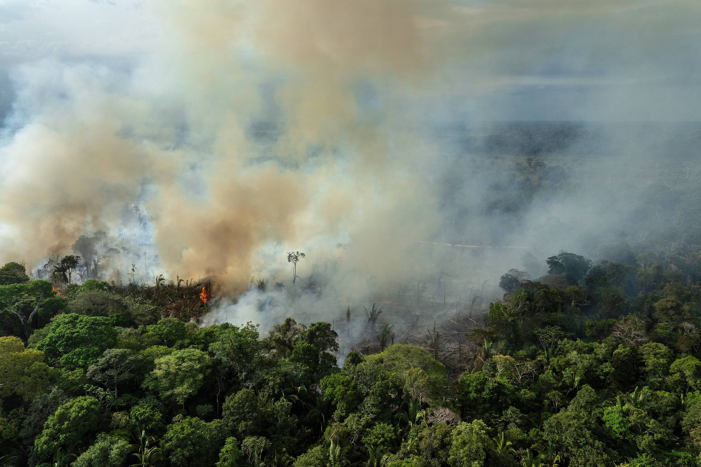 COP30: o momento de agir pelos defensores do planeta