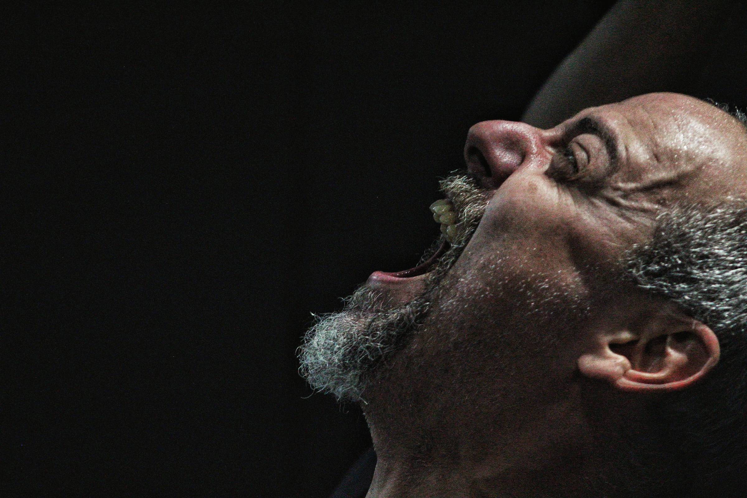 Peça baseada em 'A Revolução dos Bichos', de George Orwell, retorna a São Paulo