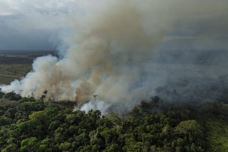 Fumaça densa e branca sobe de um incêndio em uma área de floresta com vegetação verde e densa. O fogo consome parte da mata enquanto a fumaça se espalha pelo céu nublado.