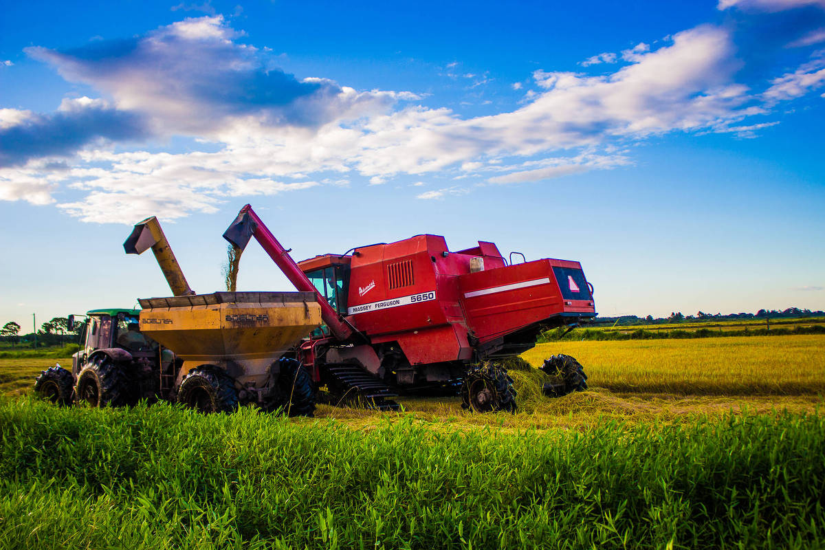 Com safra recorde neste ano, estoques de grãos aumentam no país
