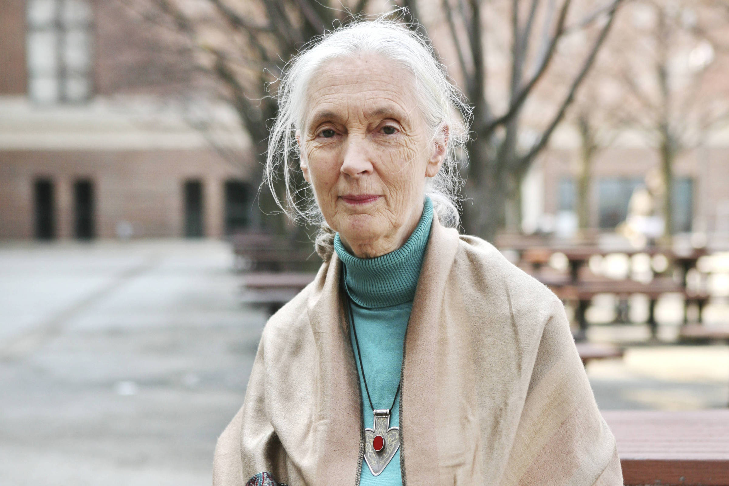 O que Jane Goodall nos ensinou sobre viver uma vida longa