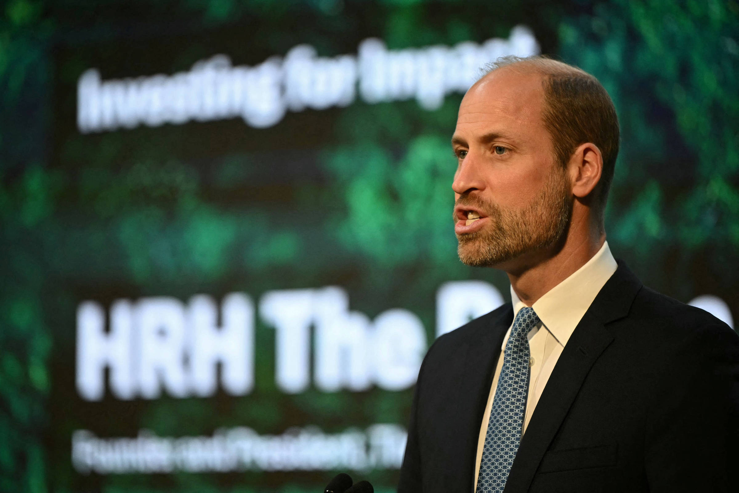 Fundo brasileiro de proteção à florestas é finalista de prêmio da fundação do príncipe William