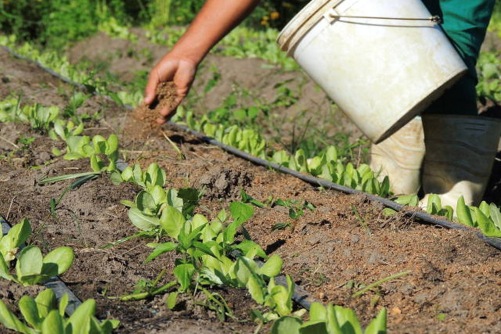 Mudança em tributos demanda revisão de linha de produtos