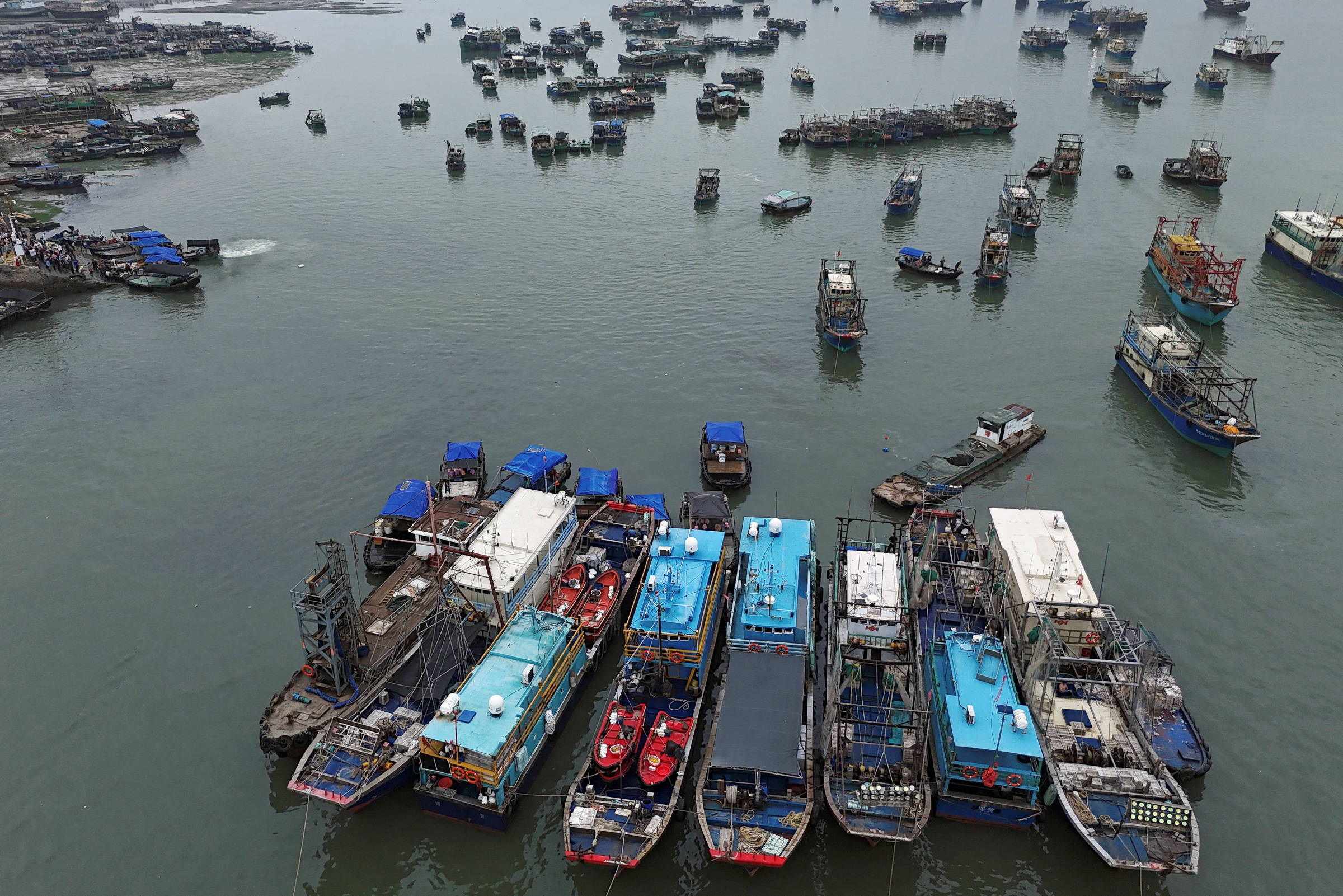 Alvo de tarifaço dos EUA, pescado brasileiro encara ameaça de tilápia e camarão da China