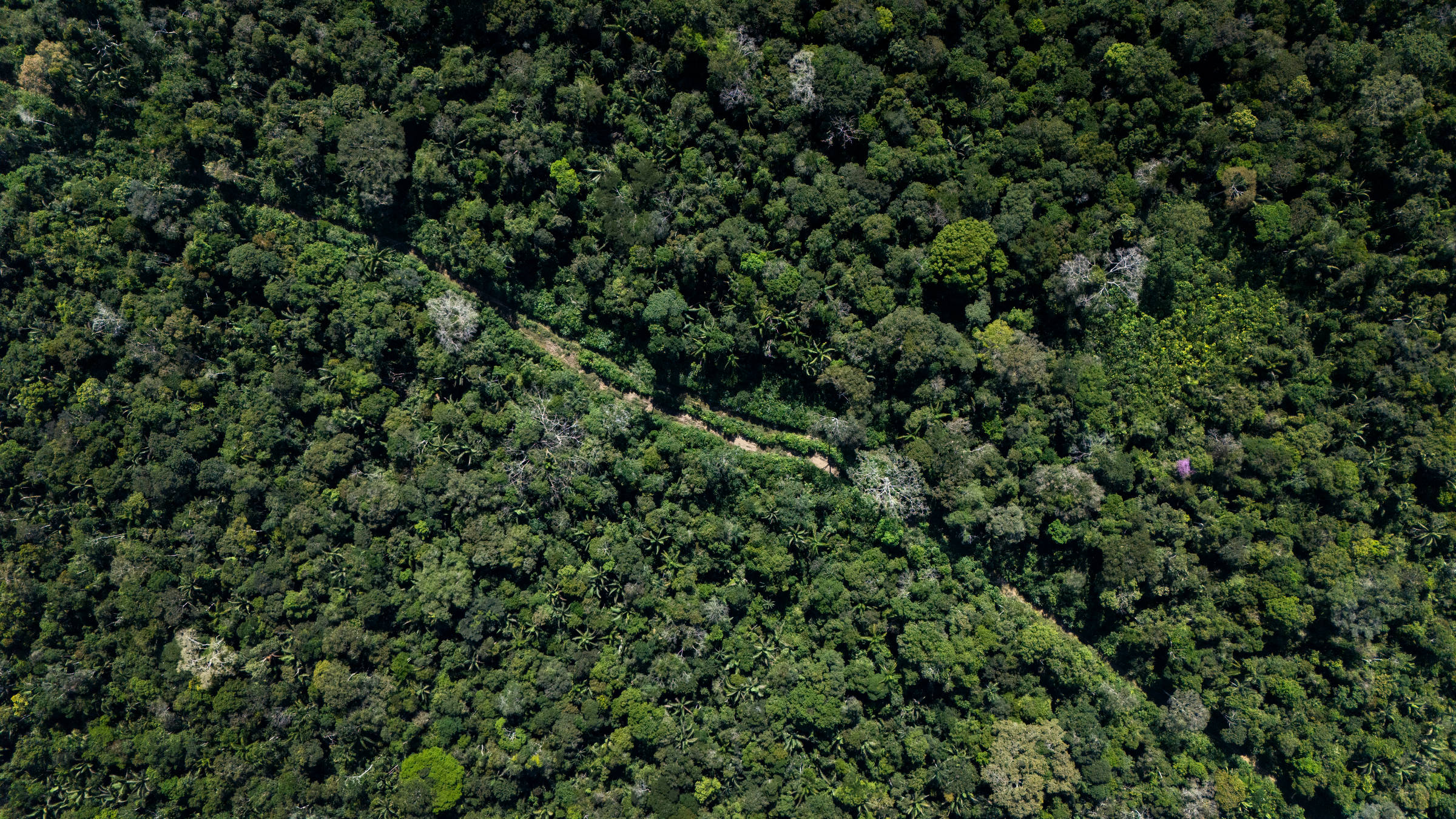 Verba do exterior para Amazônia é o triplo do que Congresso destina ao ambiente no Brasil inteiro