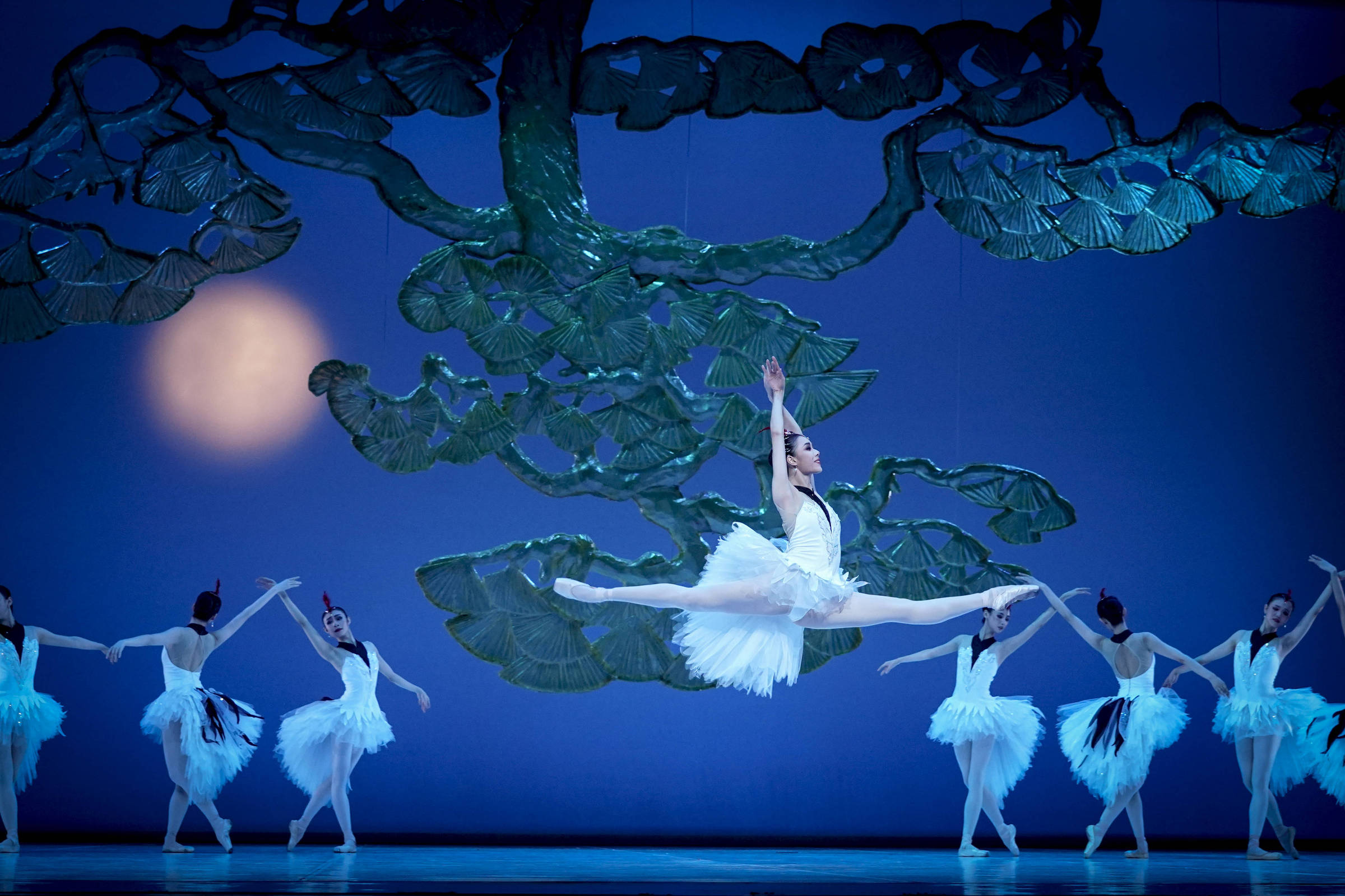 Balé Nacional da China apresenta versão de 'O Quebra-Nozes' em São Paulo