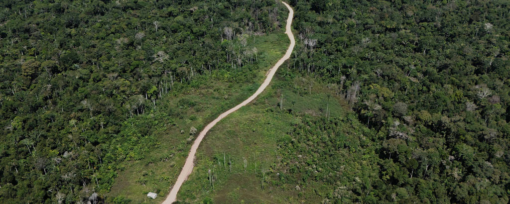 Máquinas pesadas sendo utilizadas em área rural na Amazônia.