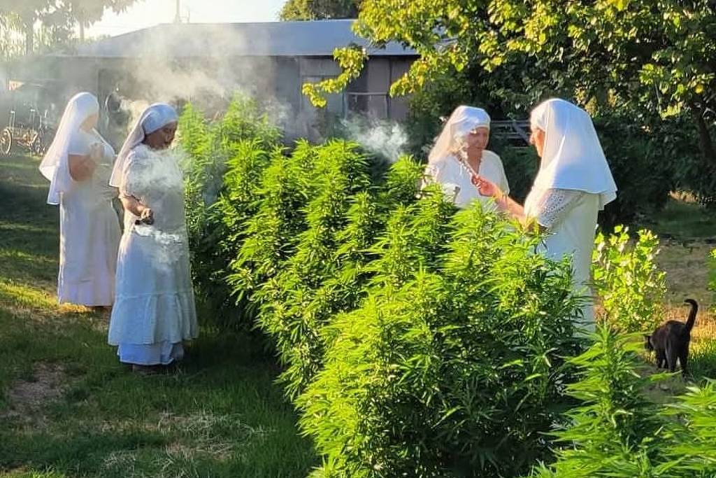 Quem são as freiras maconheiras que inspiraram Paul Thomas Anderson?