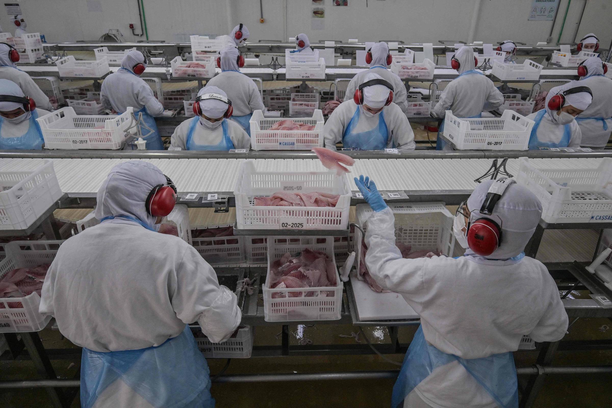 Atividade econômica volta a crescer em agosto após 3 meses de quedas