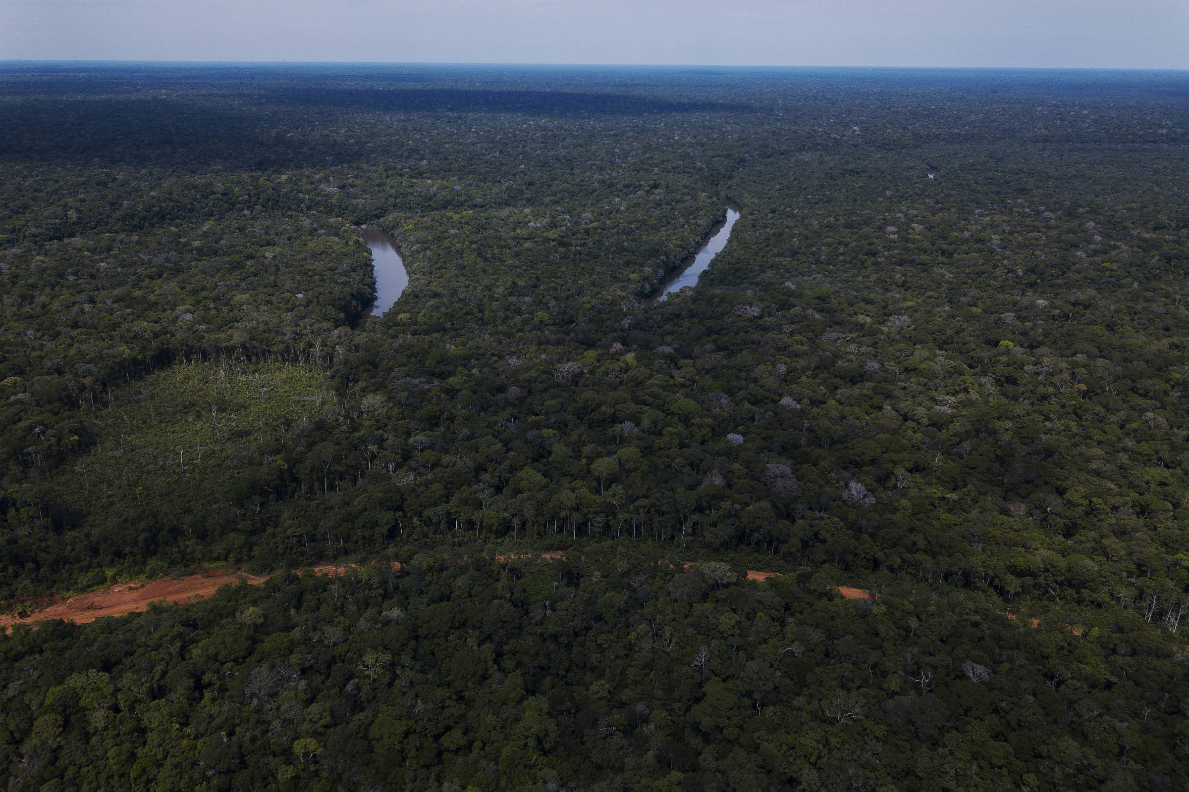 Procuradoria pede suspensão de projeto de crédito de carbono do Amazonas