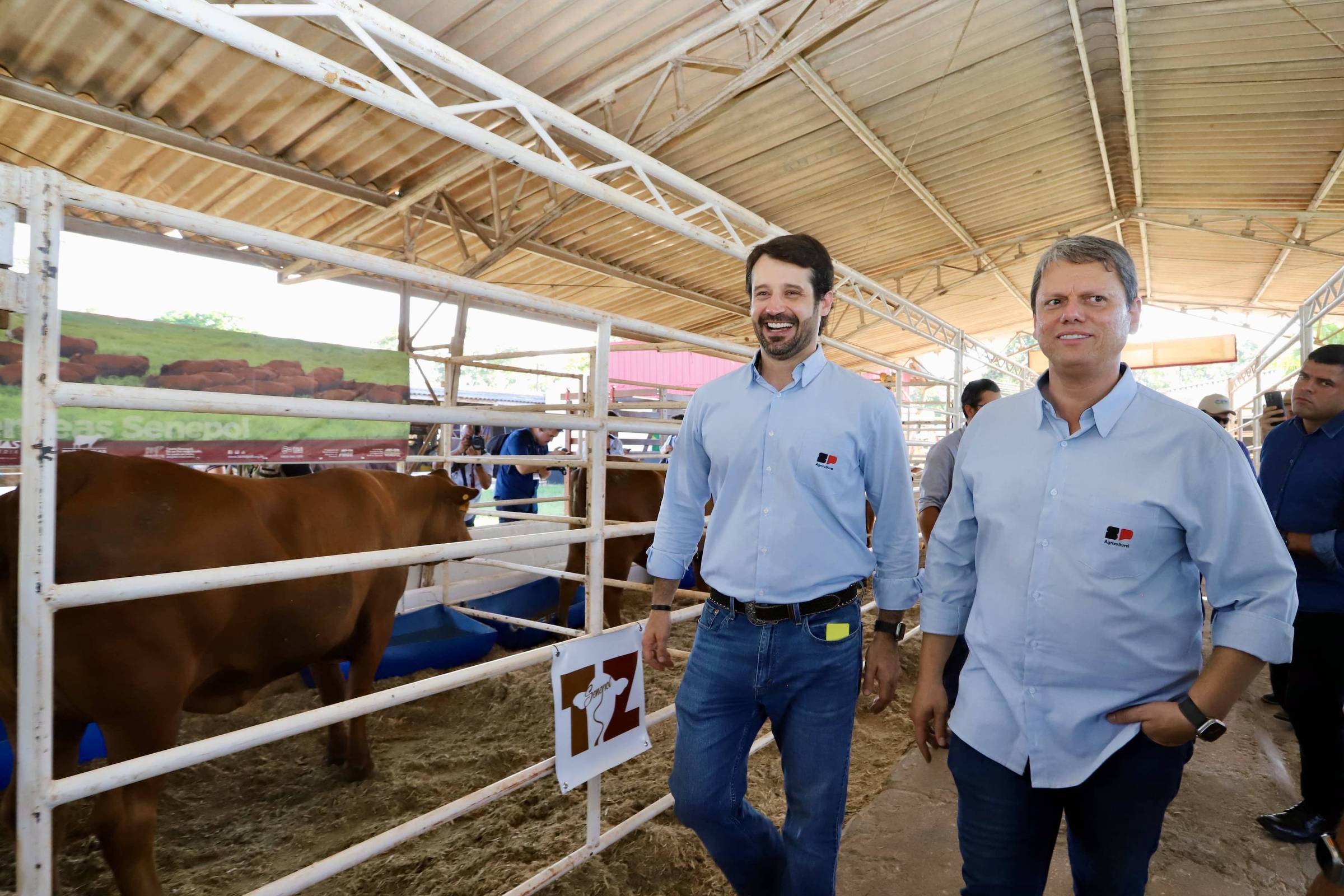MP-SP move ações sobre desvios na Agricultura e traz relatos de interferência da gestão Tarcísio