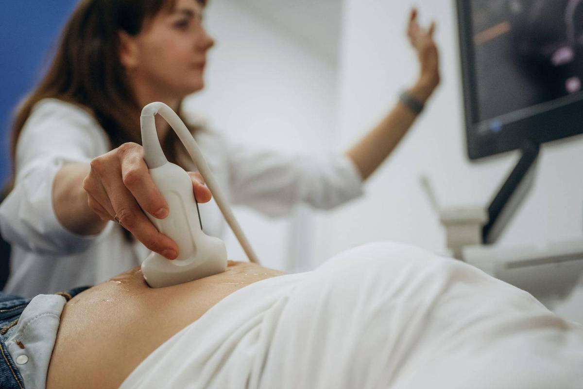 Aborto vai avançar no STF após voto de Barroso? Resultado depende do presidente do STF