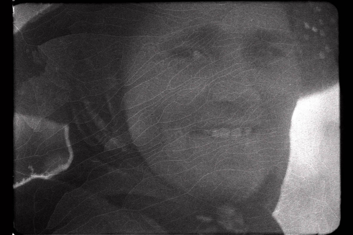 Documentário une achados arqueológicos e lendas do interior de Portugal