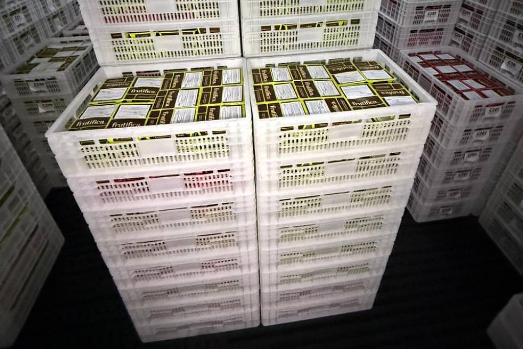 Pane na Amazon gera transtornos em restaurantes e atrasos para entregas de iFood e Mercado Livre