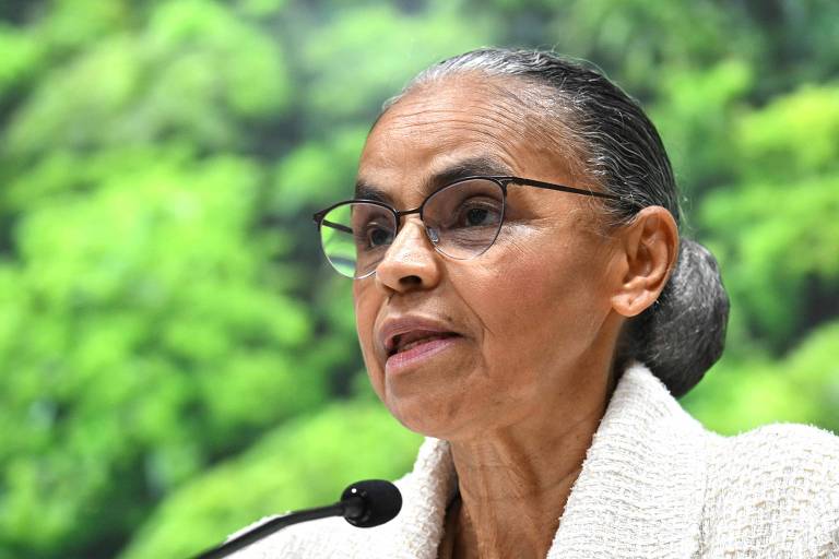 Marina Silva em evento de lançamento de livro sobre democracia brasileira.
