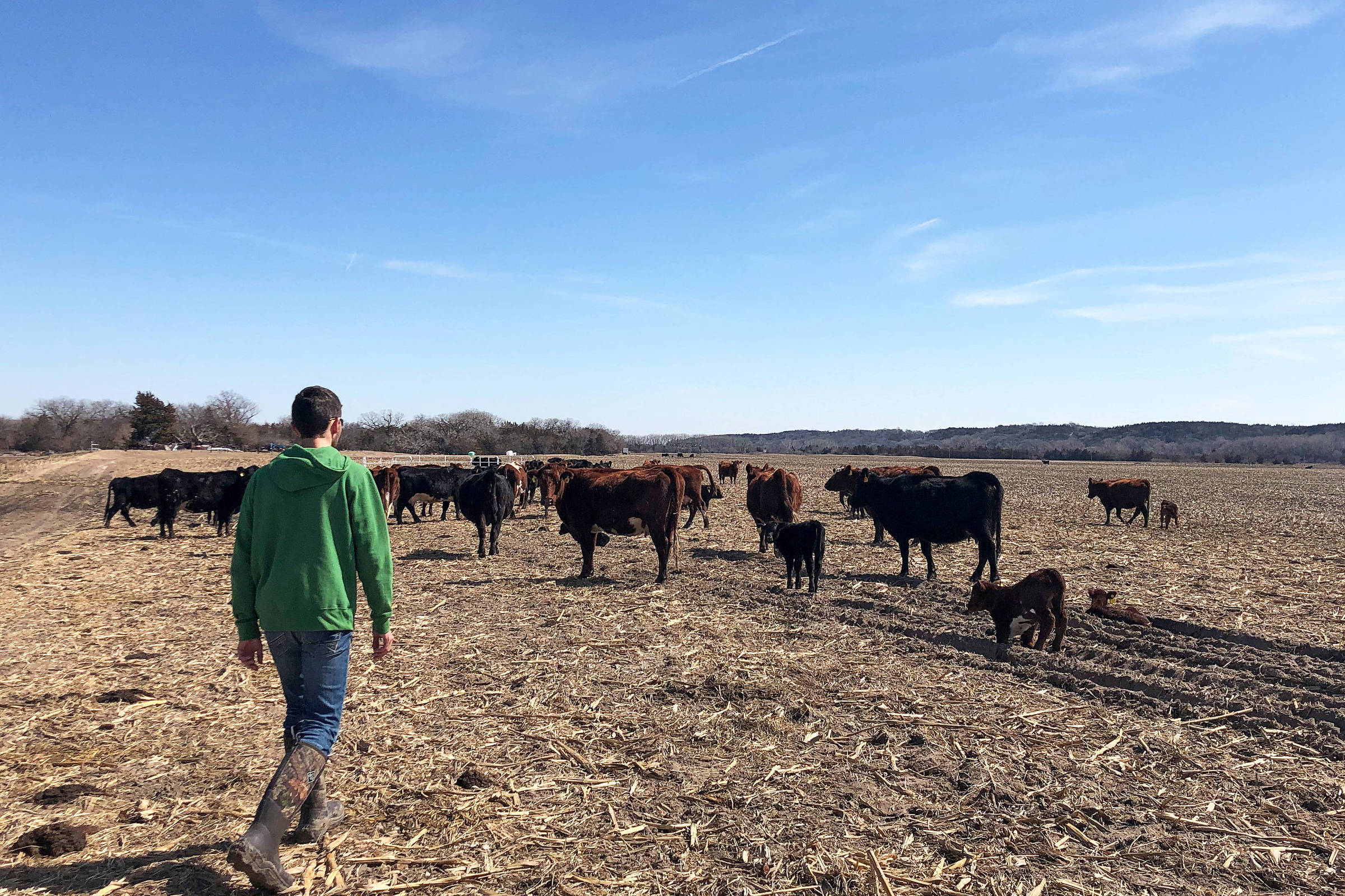 Plano de Trump para importar carne argentina irrita fazendeiros dos EUA