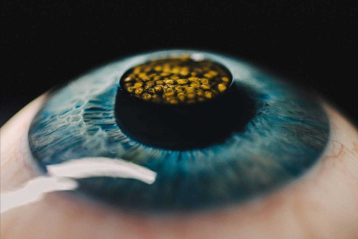 Congresso Mesa São Paulo reúne chefs como Rasmus Munk, da Dinamarca