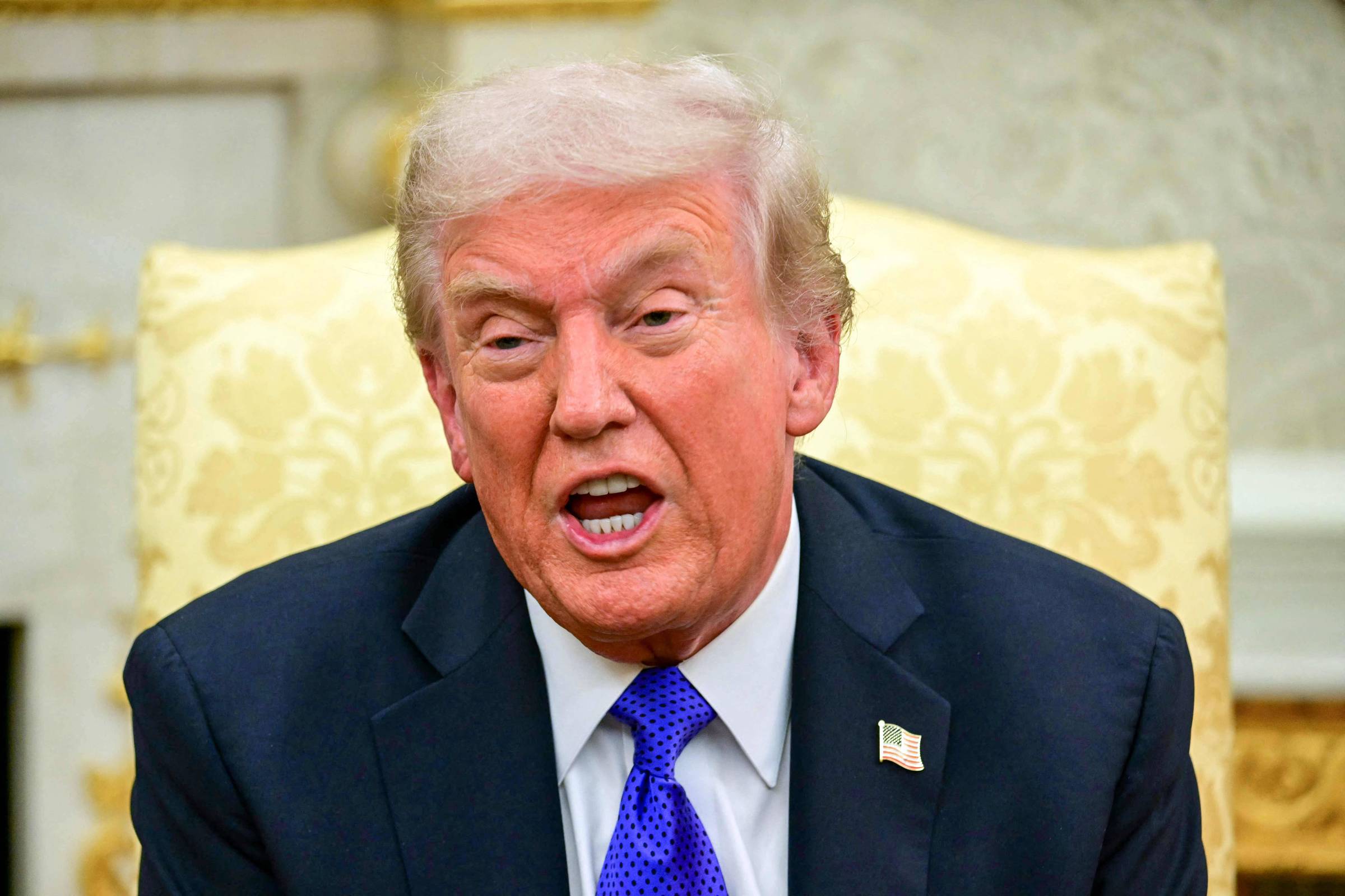 Trump diz que tarifas de 50% sobre Brasil salvaram pecuaristas dos EUA