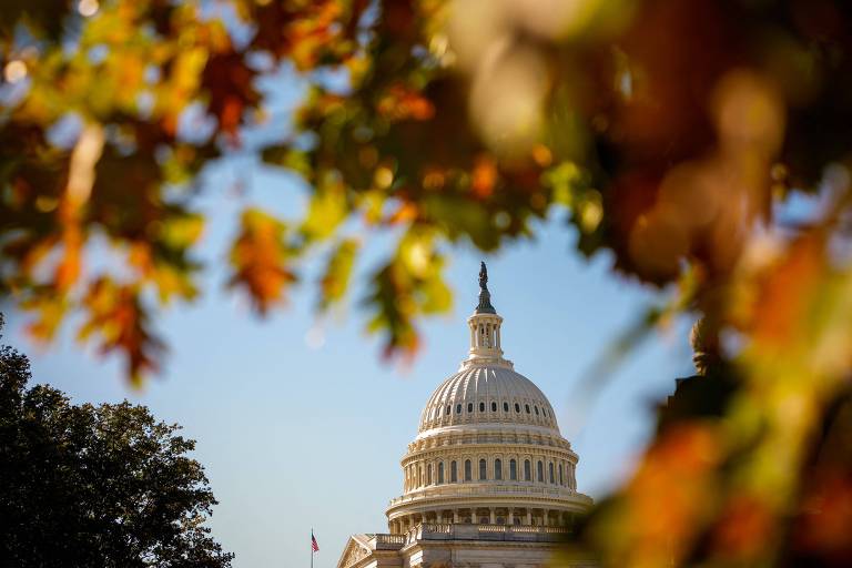 Cúpula branca do Capitólio dos Estados Unidos vista ao fundo sob céu azul claro, enquadrada por folhas de árvores em tons de laranja e amarelo no outono.