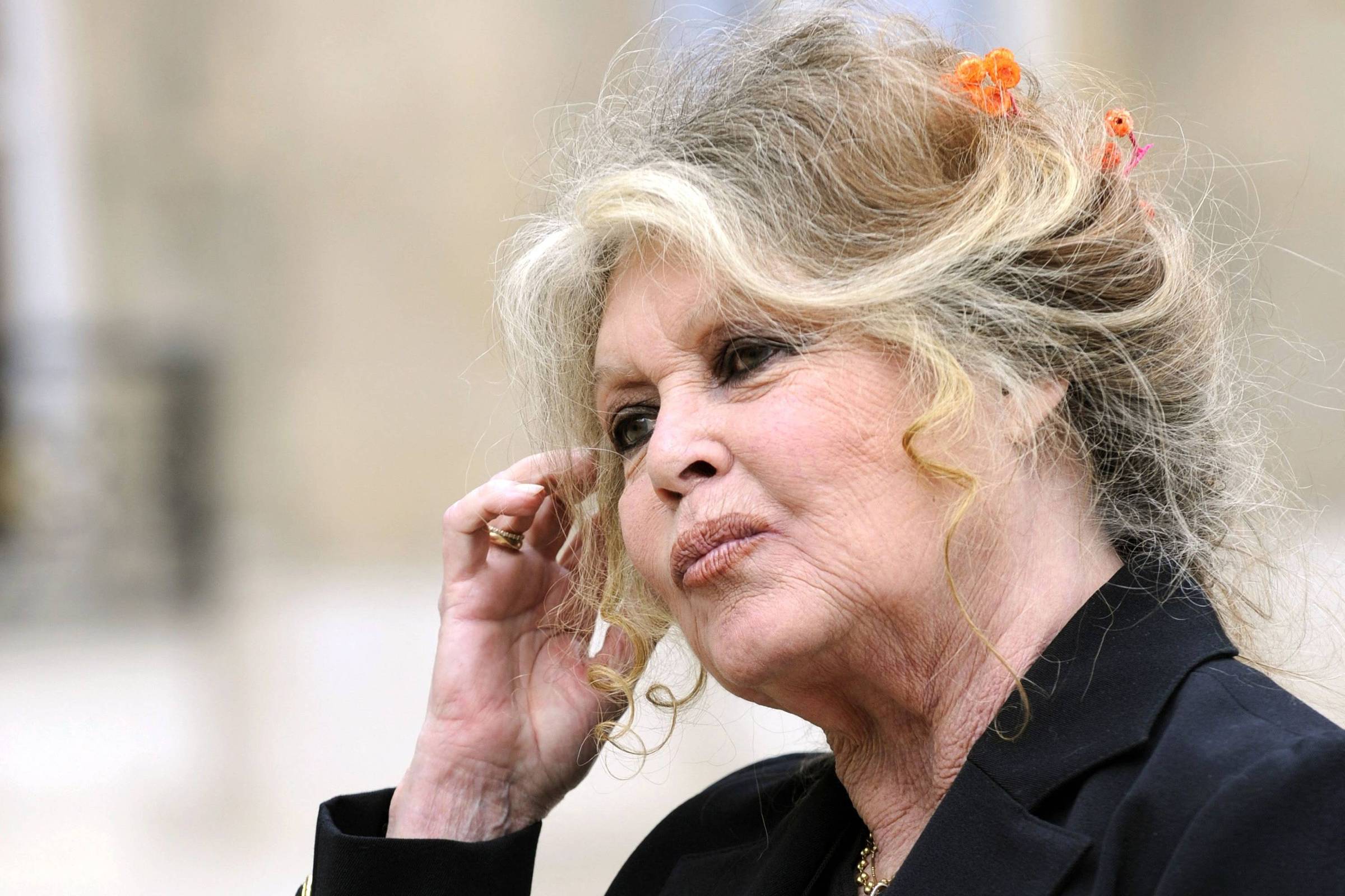 Brigitte Bardot é internada na França um mês depois de receber alta após cirurgia