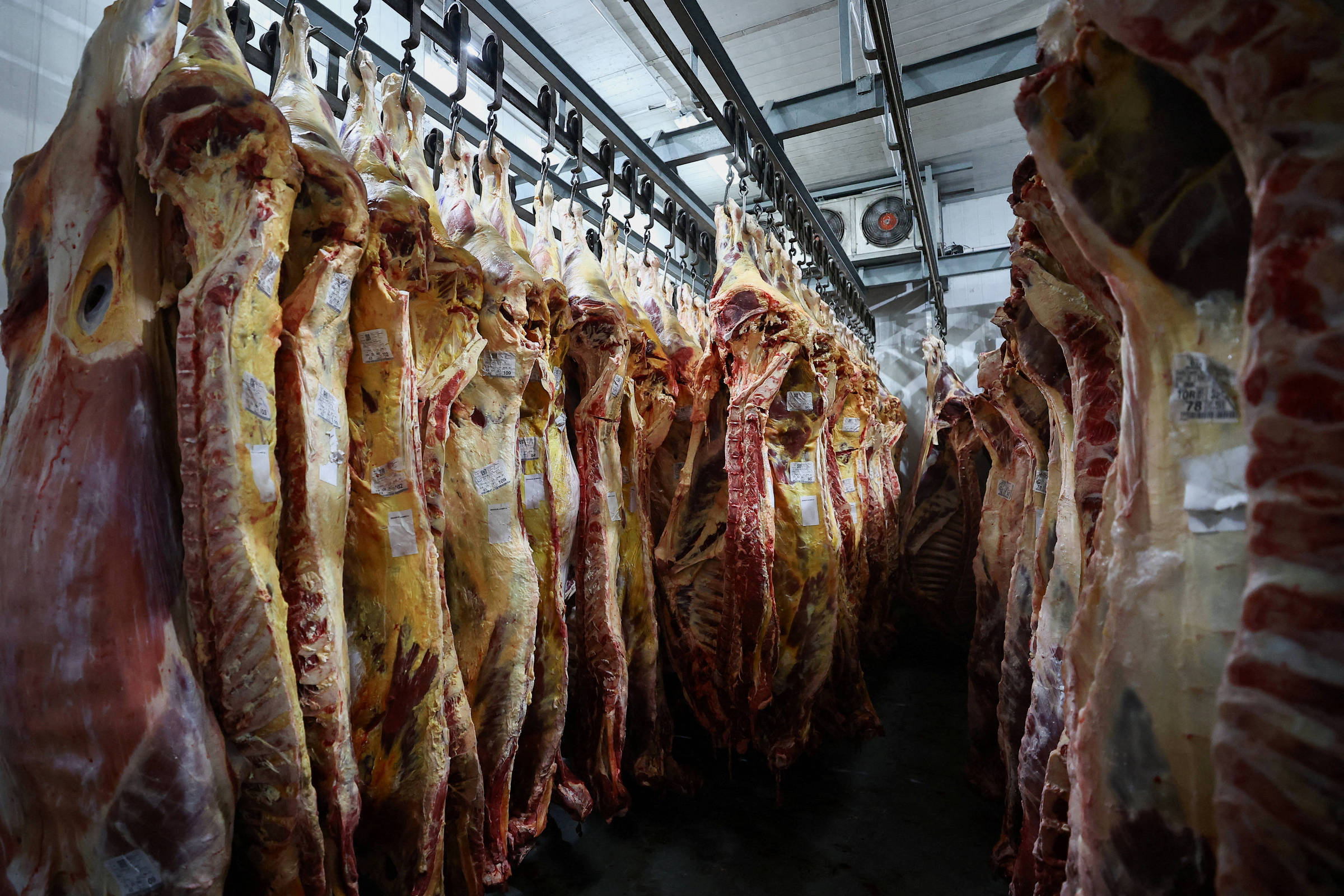 Trump quadruplica cota tarifária para carne bovina argentina e irrita pecuaristas dos EUA