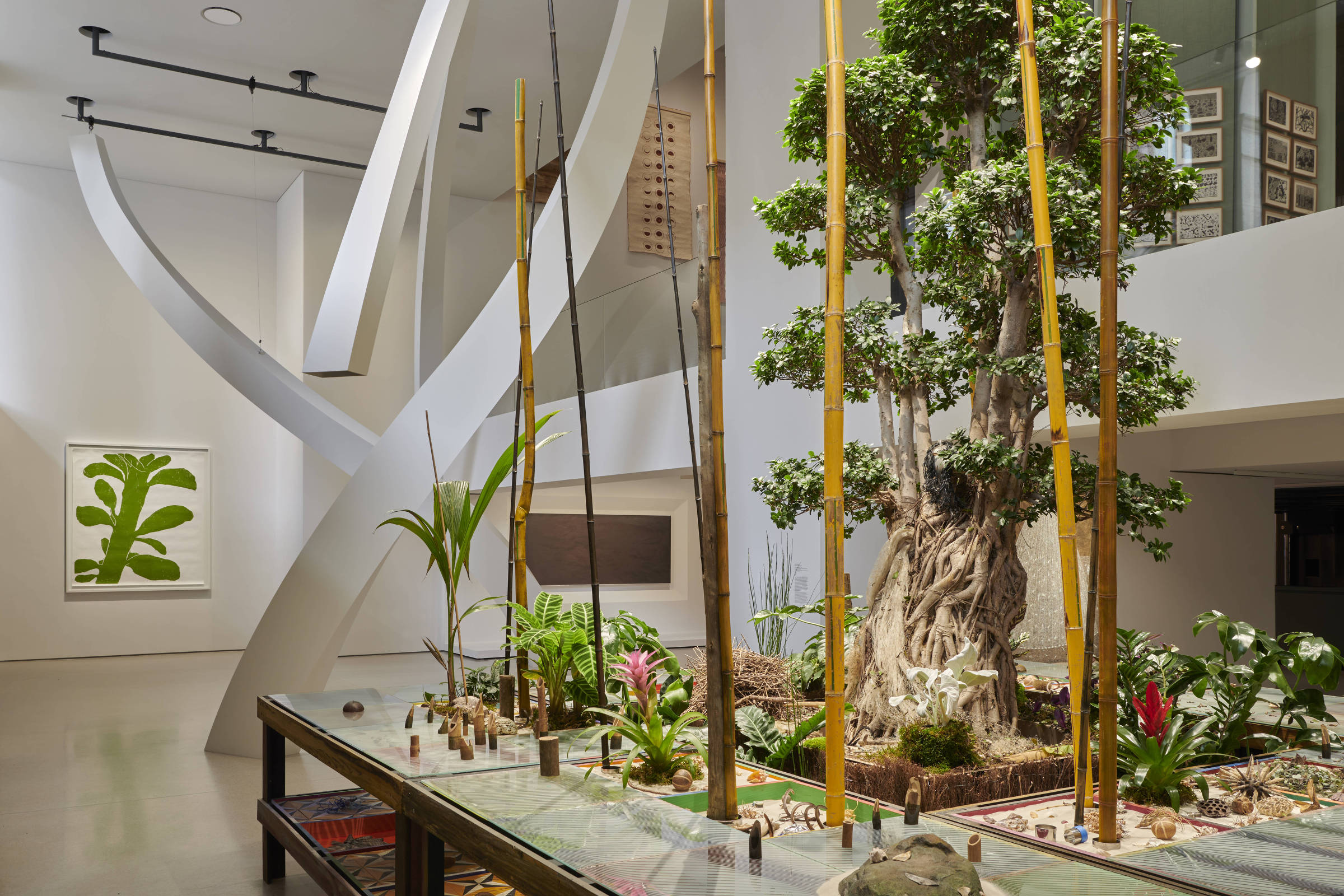 Brasil é destaque em novo espaço da Fundação Cartier para arte contemporânea