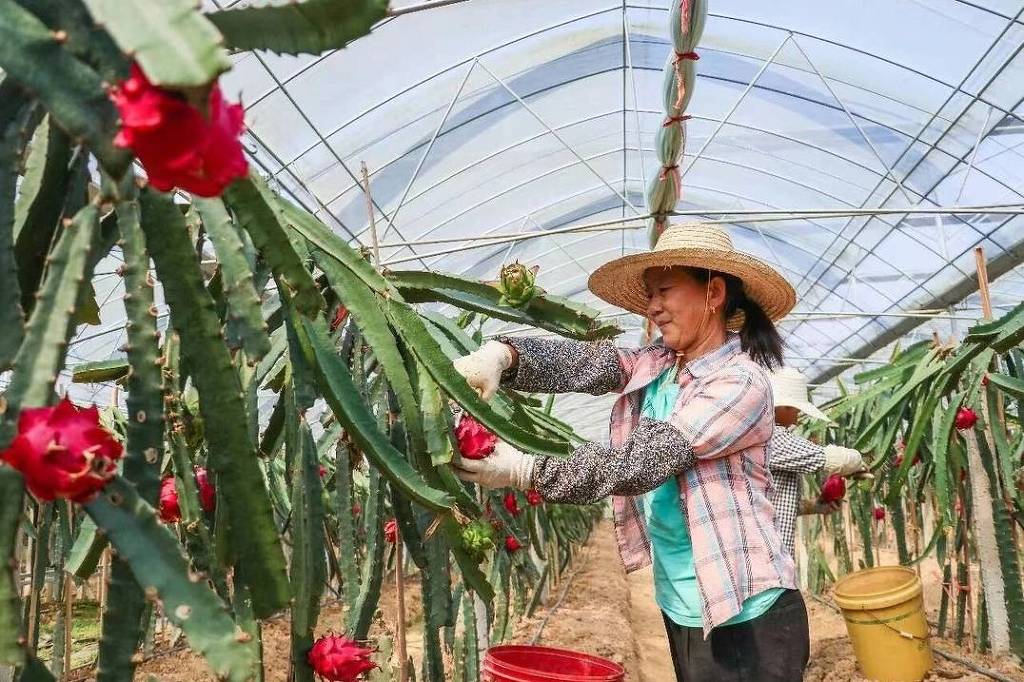 Vila chinesa 'carbono zero' deixa indústria pesada para trás e vira farol da transição ecológica
