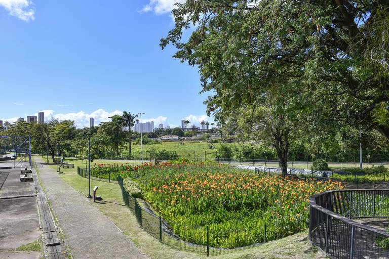 Área de parque urbano com caminho de concreto à esquerda, canteiro cercado com flores laranja ao centro, árvores grandes à direita e horizonte com prédios ao fundo sob céu azul com poucas nuvens.