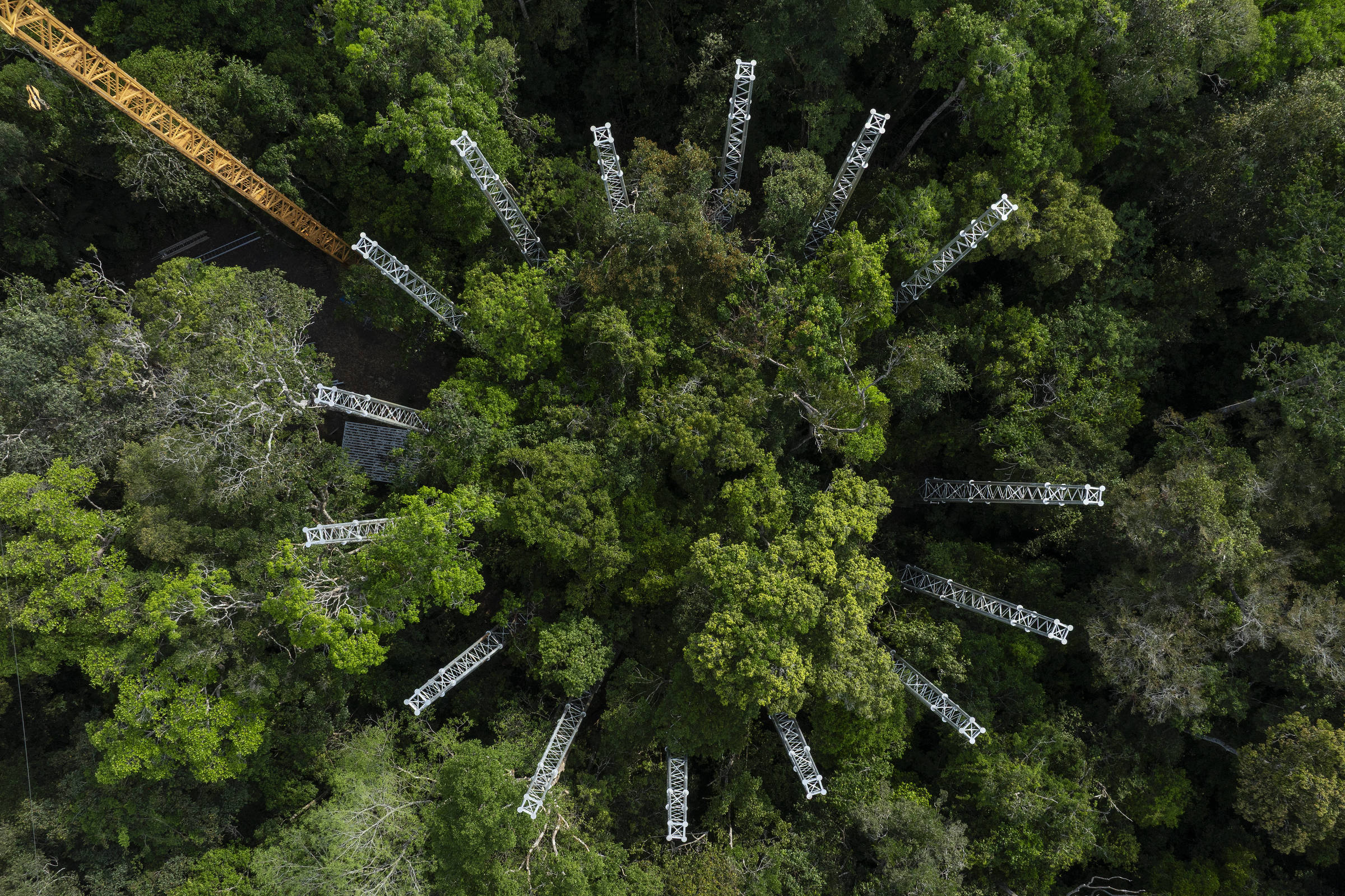 Torres gigantes vão injetar CO2 na amazônia em megaexperimento inédito