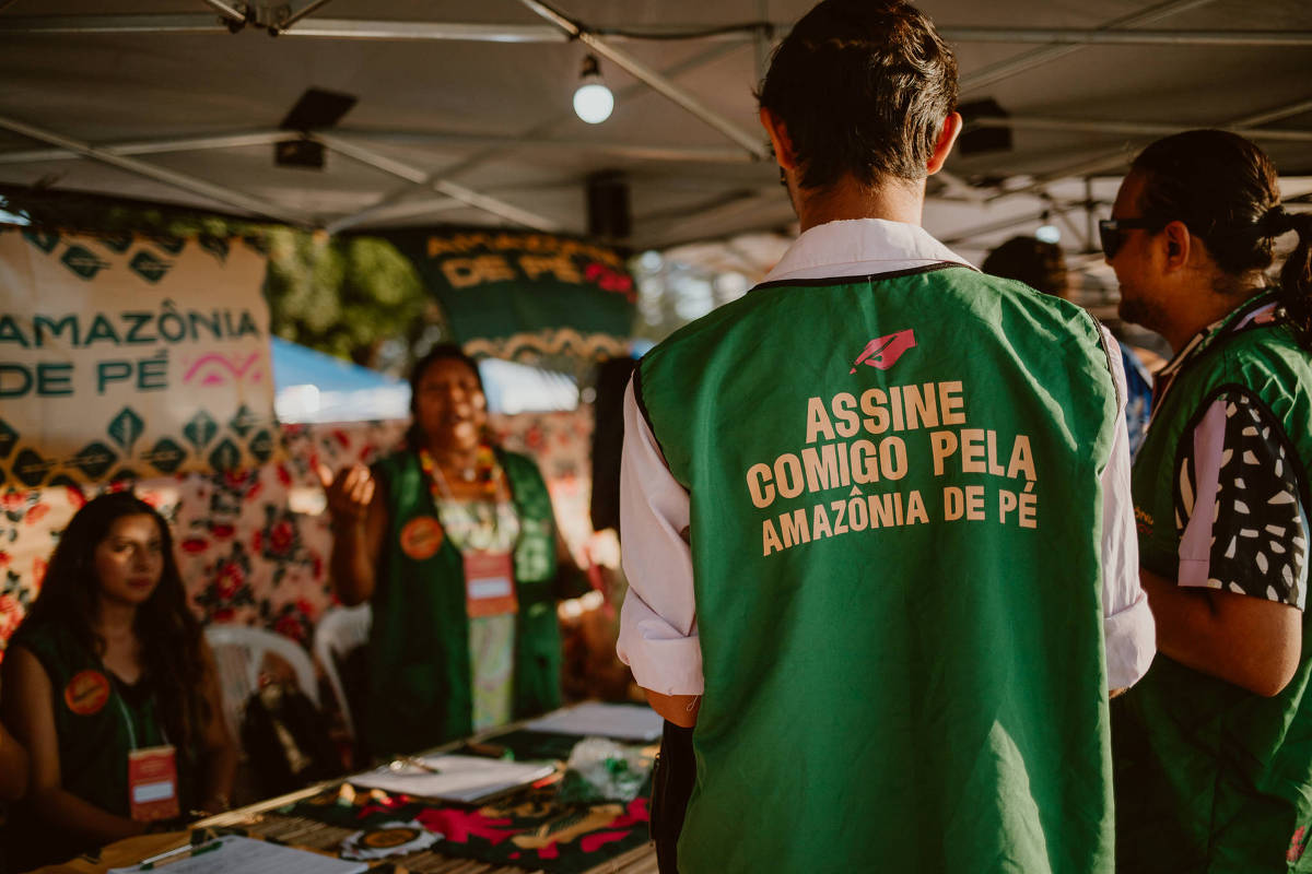 Ativistas buscam assinaturas na COP30 para criar lei de iniciativa popular para florestas