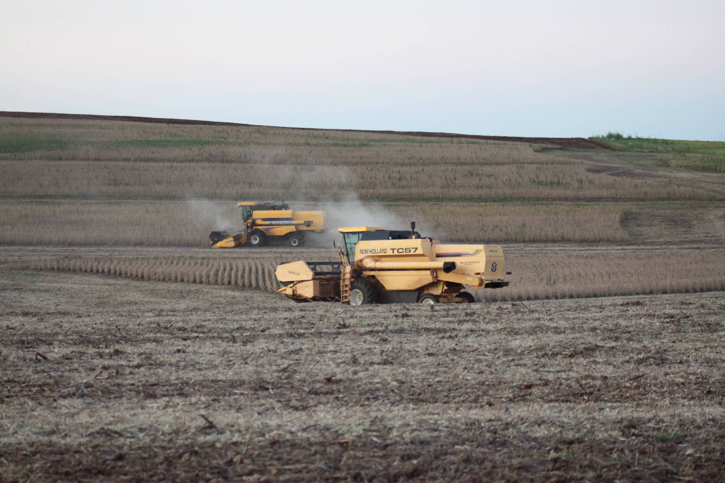 STF suspende todos os processos sobre Moratória da Soja