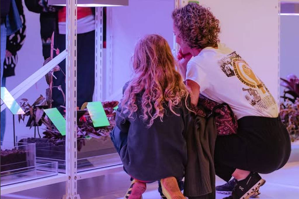 Exposição no Museu de Arte do Rio Grande do Sul debate relação entre tecnologias digitais e meio ambiente