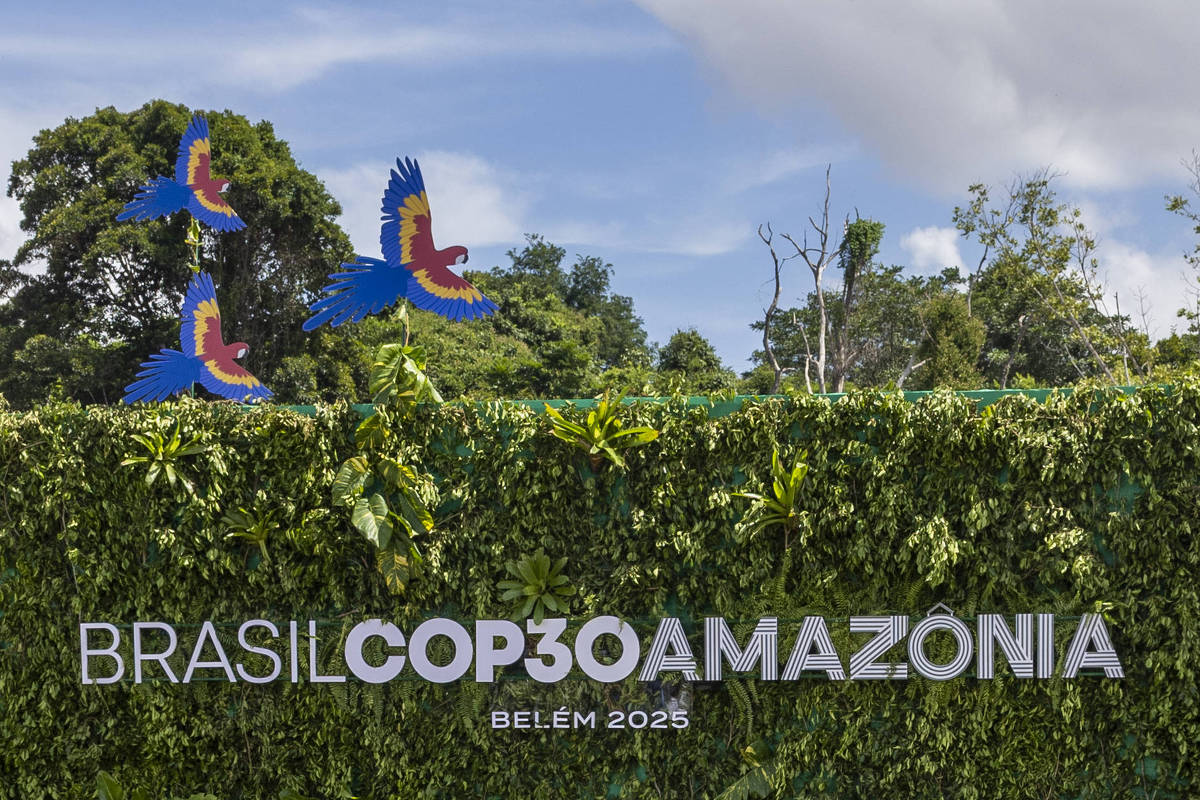 Futebol não é verde e, não sendo, contribui para o próprio finamento