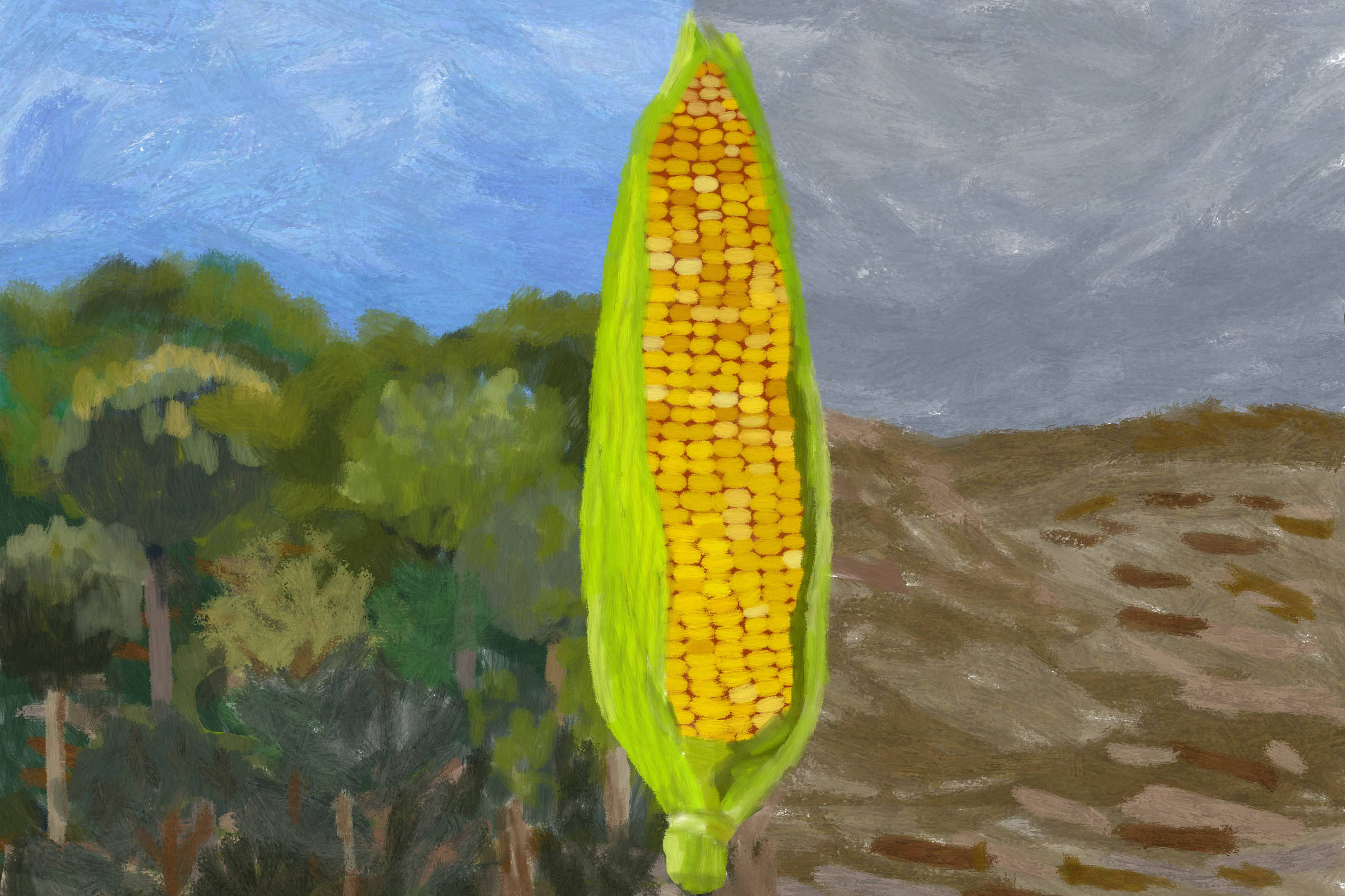 Se não ajudarmos a amazônia a se restaurar, vamos perdê-la, diz Luciana Gatti