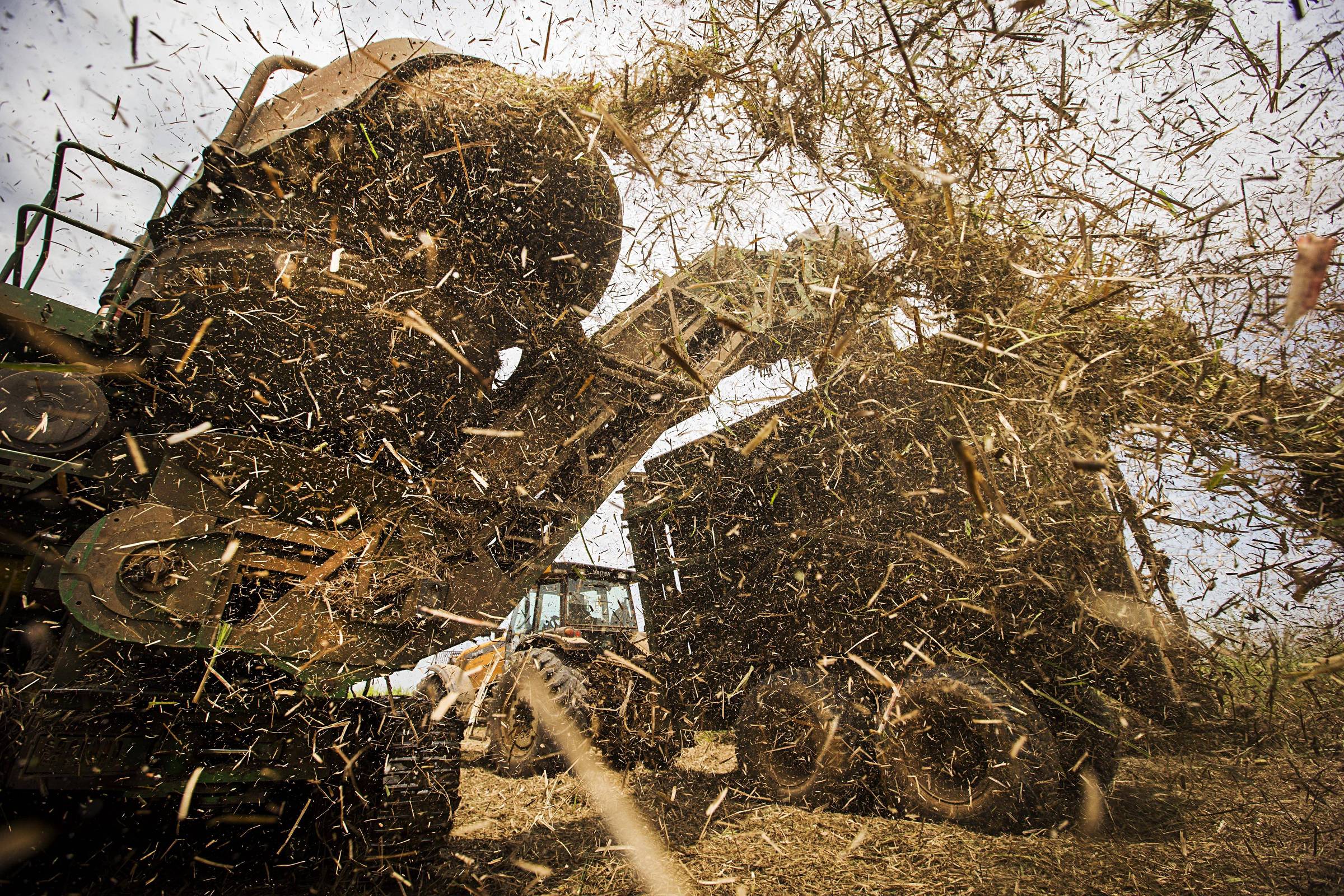 Setor sucroenergético celebra 50 anos do Proálcool e mira abastecer aviões e trens