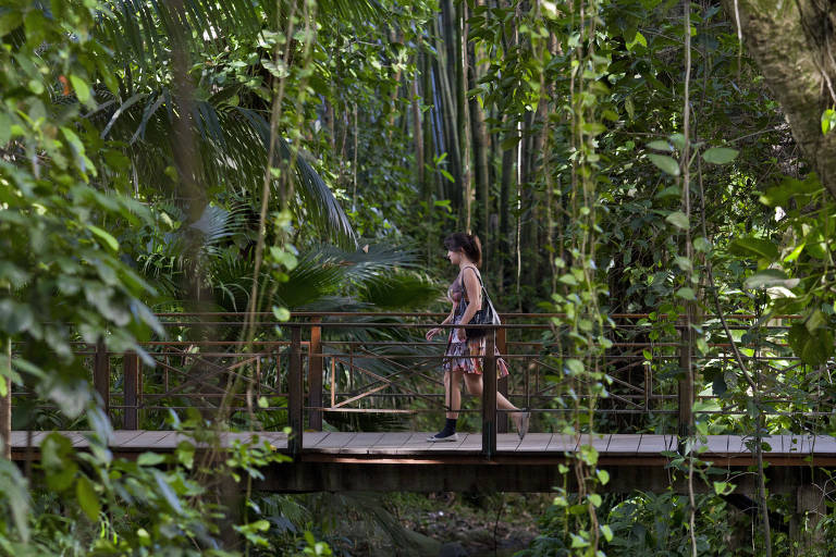 Jornalista Revela: Como Uma Reportagem Chocou o Brasil e Chegou aos Ouvidos do Presidente Sarney!