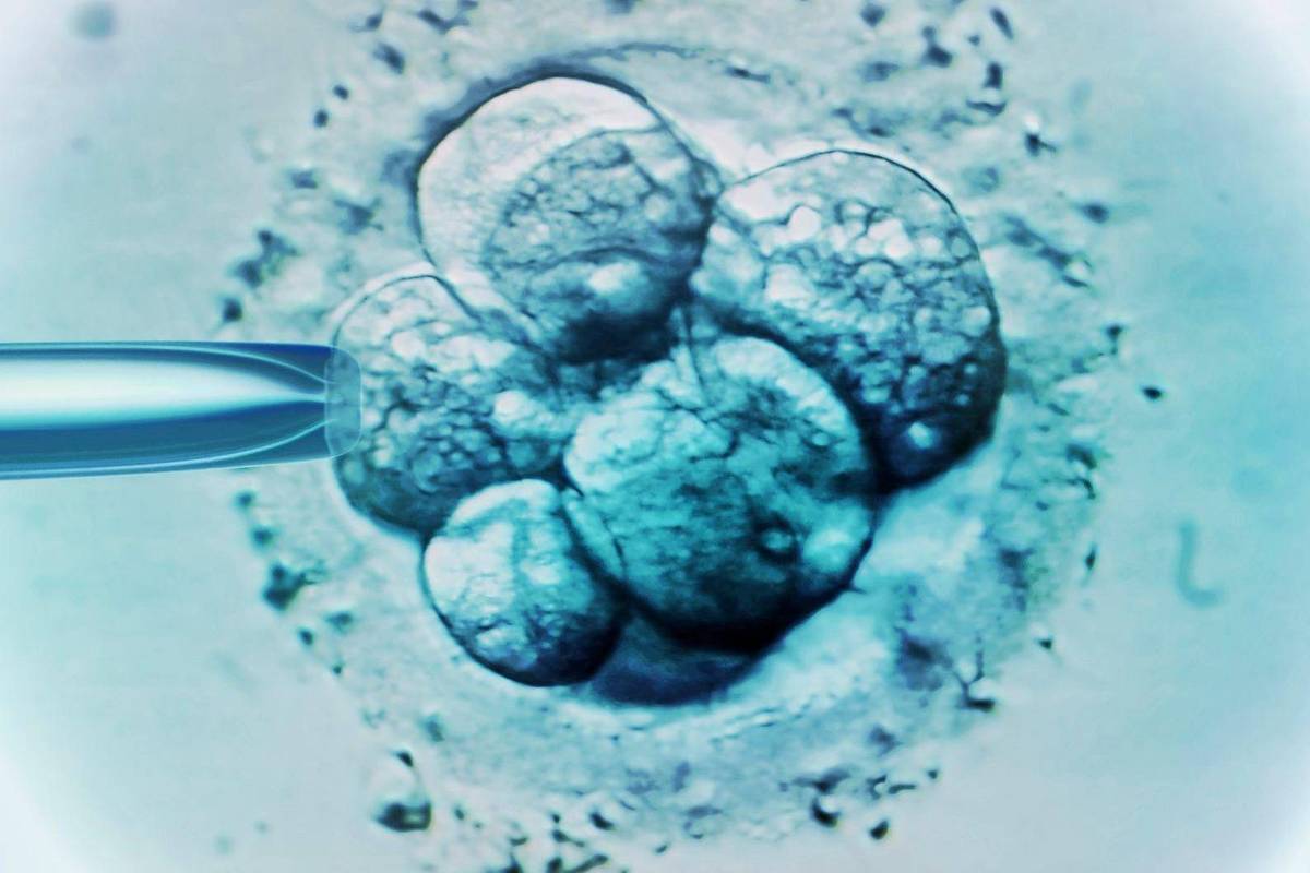 Bebê nascido de embrião congelado por 30 anos bate recorde: 'Como filme de ficção científica'