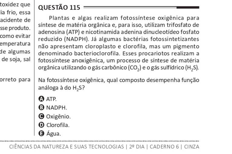 Questão 115 apresenta texto explicando o uso do campo magnético variável para indução e movimento de elétrons. Pergunta sobre fotossíntese oxigênica em plantas e algas, citando ATP, NADPH, clorofila e água. Texto inclui alternativas para a composição do ATP.