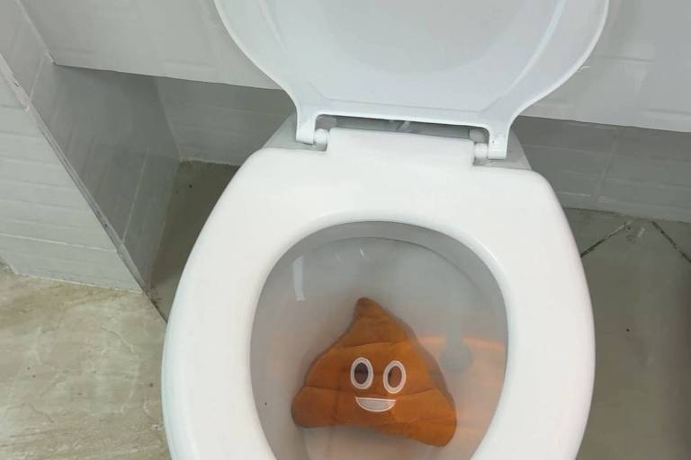 White toilet with open lid in the bathroom. Inside the tub, there is a brown emoji-shaped plush toy with eyes and a smile, placed in the middle of the water.