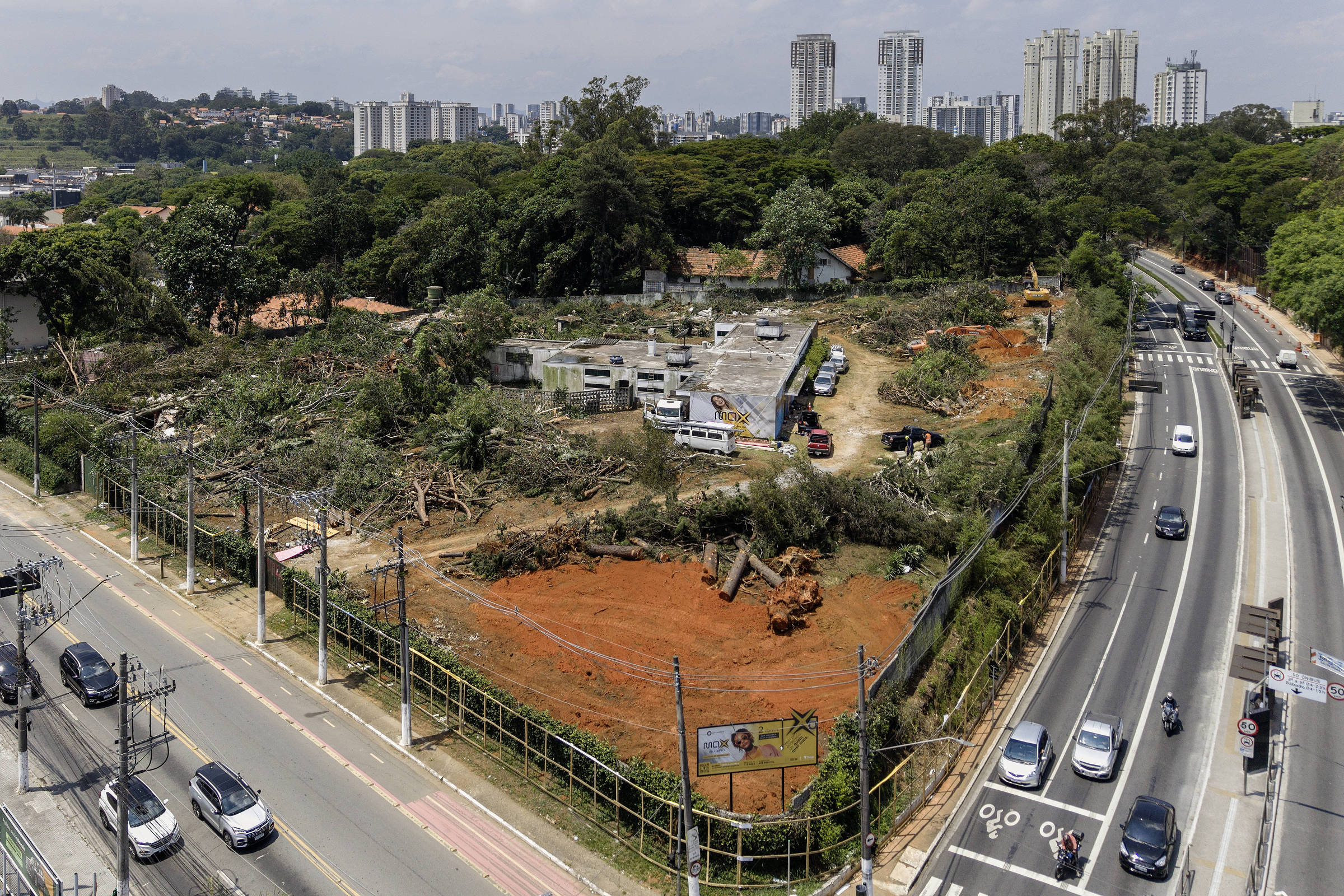 Justiça manda construtora interromper derrubada de árvores no Butantã