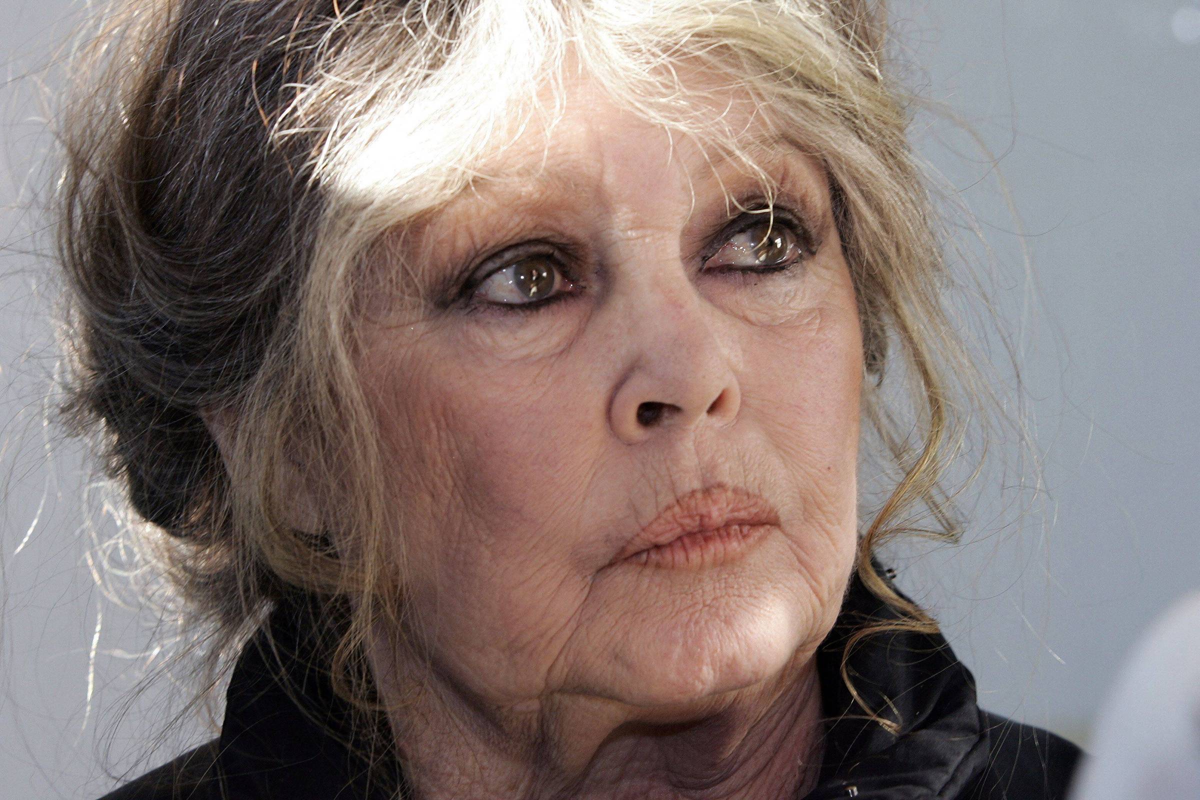 Brigitte Bardot pede calma aos fãs em meio a rumores sobre estado de saúde
