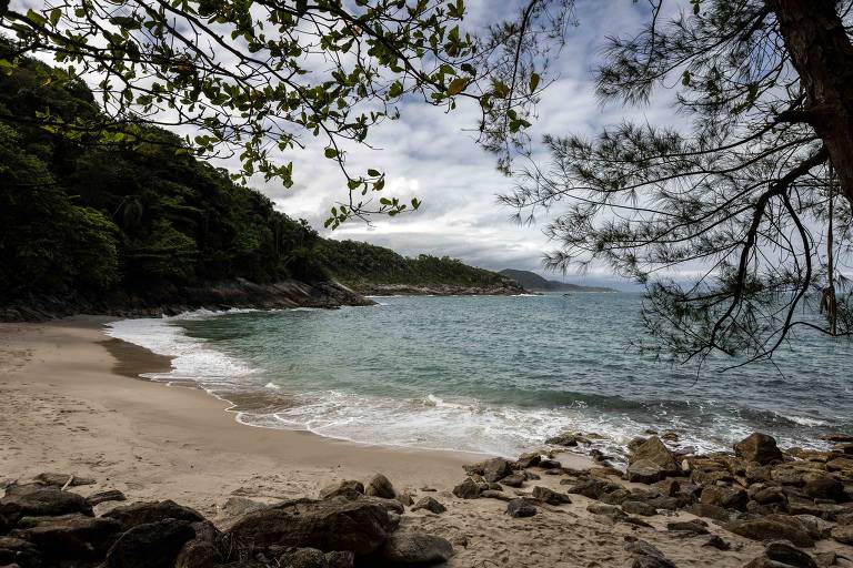 White sand beach with gentle waves and rocks on the shore. Dense vegetation and trees frame the scene, cloudy sky in the background.