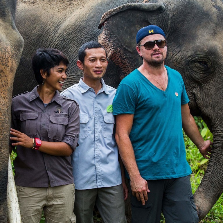 Leonardo DiCaprio vai à floresta da Indonésia para apoiar defensores da natureza
